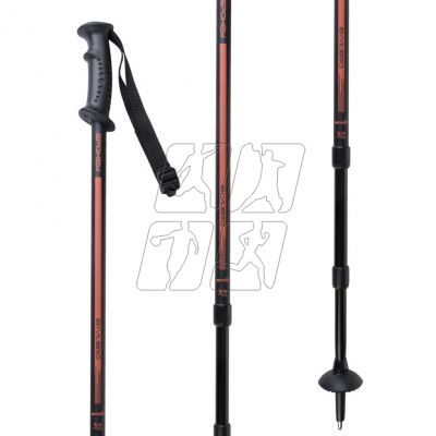 3. Trekking sticks Spokey Ekvilibro BK / OE 923971