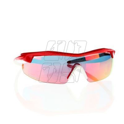 Goggle sunglasses E690-3