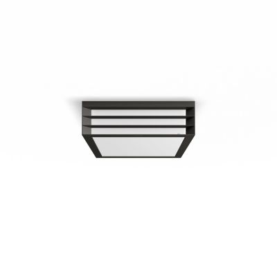 4. Moonshine ceiling light, anthracite, 2x E17/14 W, IP44, aluminium/plastic
