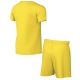 4. Nike DRY Park Kit Set for kids yellow CD2244 719