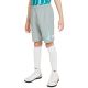 11. Nike NK Df Academy Shrt Wp Gx Jr CV1469 019 Shorts