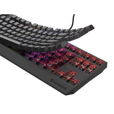 17. GENESIS Thor 230 TKL Gaming Keyboard USB QWERTY US English Black