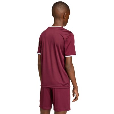 6. adidas Entrada 26 Jersey burgundy kids' T-shirt JZ2530