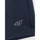 8. Men's sweatpants 4F 4FRSS26TSHOM0930-31S