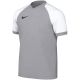 Nike Dri-FIT Trophy VI Kids' T-Shirt Gray HV8158 012