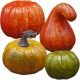 3. DECORATIVE HALLOWEEN PUMPKIN FIGURE 4 PCS ORANGE - GREEN