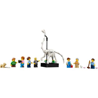 7. LEGO Icons 10326 Natural History Museum