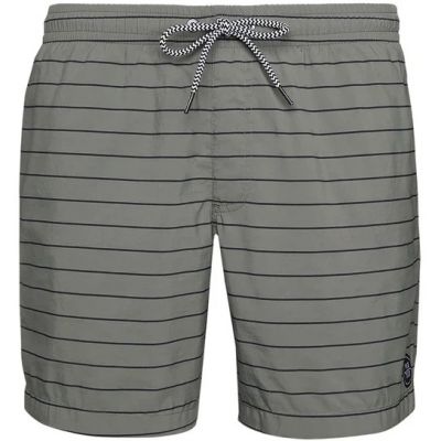 2. Protest Sharif Beachshorts for men, gray (P2796700/650)