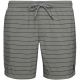 2. Protest Sharif Beachshorts for men, gray (P2796700/650)