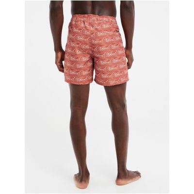 4. Protest PRTTERTON Men’s Beach Shorts