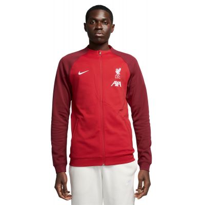 Nike Liverpool FC Academy Pro M sweatshirt DV5050-687