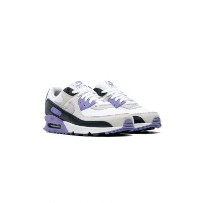 5. NIKE AIR MAX 90 Men's Shoes (DM0029-114)