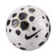 Nike Control 25 Football White and Black HV4395 100 5