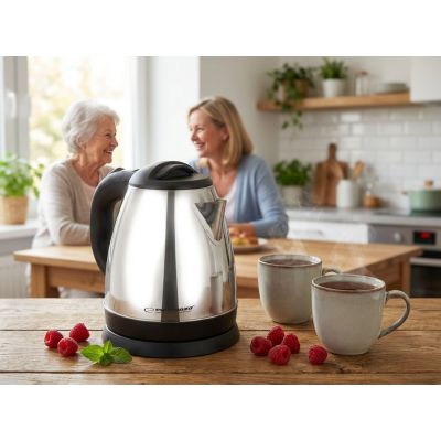 6. ESPERANZA ELECTRIC KETTLE SPRING 1.0 L SILVER EKK116S