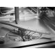 6. Built-in dishwasher ELECTROLUX E52ID100SX