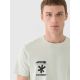 4. Men's regular printed T-shirt 4F 4FRAW24TTSHM2603-47S