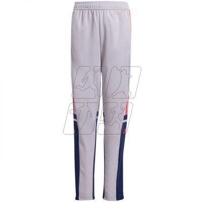 adidas Squadra 25 Training Jr Pants JP3369