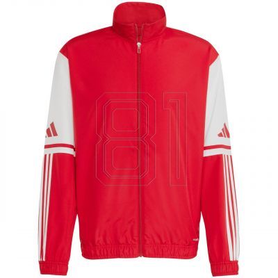 Adidas Squadra 25 Presentation M sweatshirt JD2969
