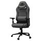 2. COUGAR CGR-EPF-ROG Universal Gaming Chair Grey