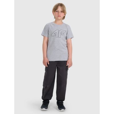 2. Boy's regular printed T-shirt 4F 4FJRMM00TTSHM3255-25M