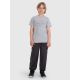 2. Boy's regular printed T-shirt 4F 4FJRMM00TTSHM3255-25M