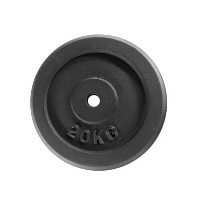 20KG CAST IRON PLATE WITH TWO HAND GRIPS