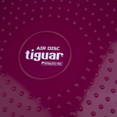 7. Tiguar stabilizing disc (air disc) DR-GT0001