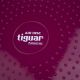 7. Tiguar (air disc) stabilizing disc DR-GT0001
