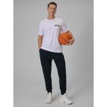 Men's jogger sweatpants 4F 4FRSS26TTROM1986-31S