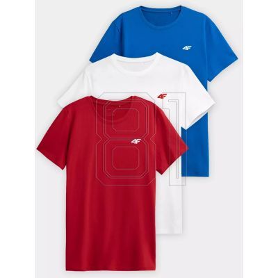 11. T-shirt 4F M 4FWSS23TTSHM1231-91S