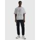 3. Men's oversize printed T-shirt 4F 4FRAW25TTSHM3257-27M