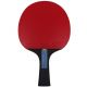 9. Ping pong bat Butterfly Ovtcharov Sapphire 85222