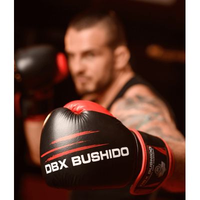 15. 14oz Boxing Gloves - Ninja - Legacy Series