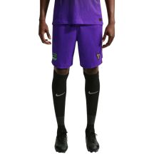 Nike FC Barcelona Match 2026/27 Men's Shorts Purple II1900 504