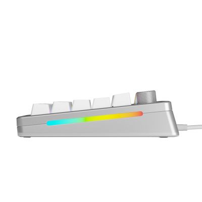 3. Glorious Gaming GMMK 3 PRO 75% Prebuilt USB Keyboard QWERTY US English Silver