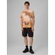 4. Men's regular printed T-shirt 4F 4FRSS26TTSHM4237-83A
