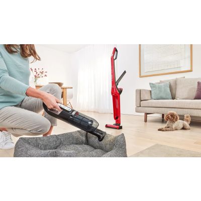 3. BOSCH BBH 3ZOO28 FLEXXO vacuum cleaner