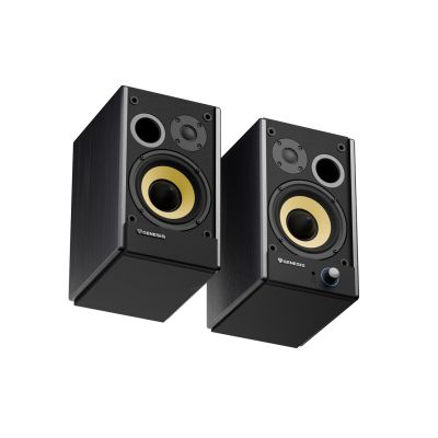 7. GENESIS ARSEN 502BT 2-Way Black Wired and Wireless 60W