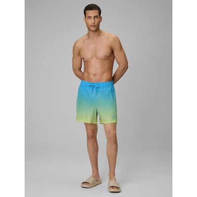 Men's boardshorts 4F 4FWSS26UBDSM168-33S