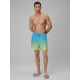 Men's boardshorts 4F 4FWSS26UBDSM168-33S