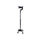 3. Quad cane