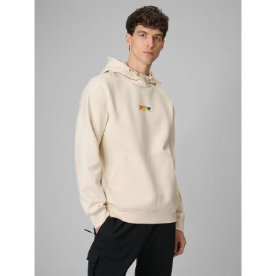 Men's regular hooded sweatshirt 4F 4FRSS26TSWSM2894-12S
