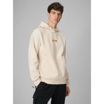 Men's regular hooded sweatshirt 4F 4FRSS26TSWSM2894-12S