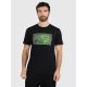 Men's regular printed T-shirt 4F 4FRAW25TTSHM3612-20S