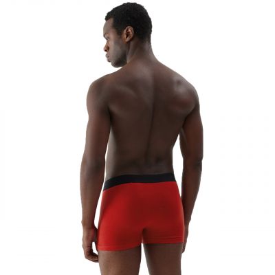 5. Boxer shorts 4F M027 1 M 4FAW23UBXSM027 91S