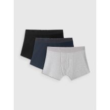 Men's boxer shorts (3-pack) 4F 4FRSS26UBXSM103-90S
