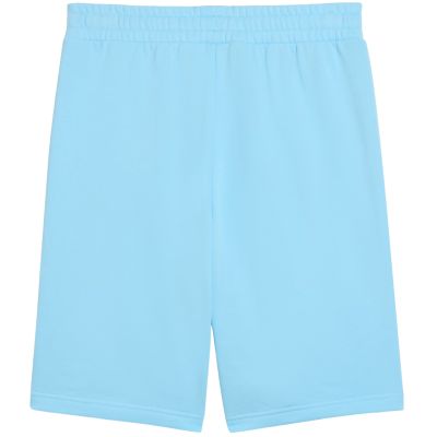 2. Puma ESS No.1 Logo 10" Men's Shorts (s) Light Blue 682595 45