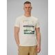 Men's regular printed T-shirt 4F 4FRAW25TTSHM3378-11S