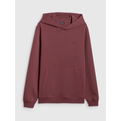 7. Men's regular hooded sweatshirt 4F 4FRSS26TSWSM2793-60S