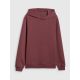 7. Men's regular hooded sweatshirt 4F 4FRSS26TSWSM2793-60S